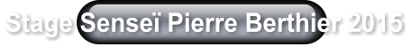 Stage Sense Pierre Berthier 2015